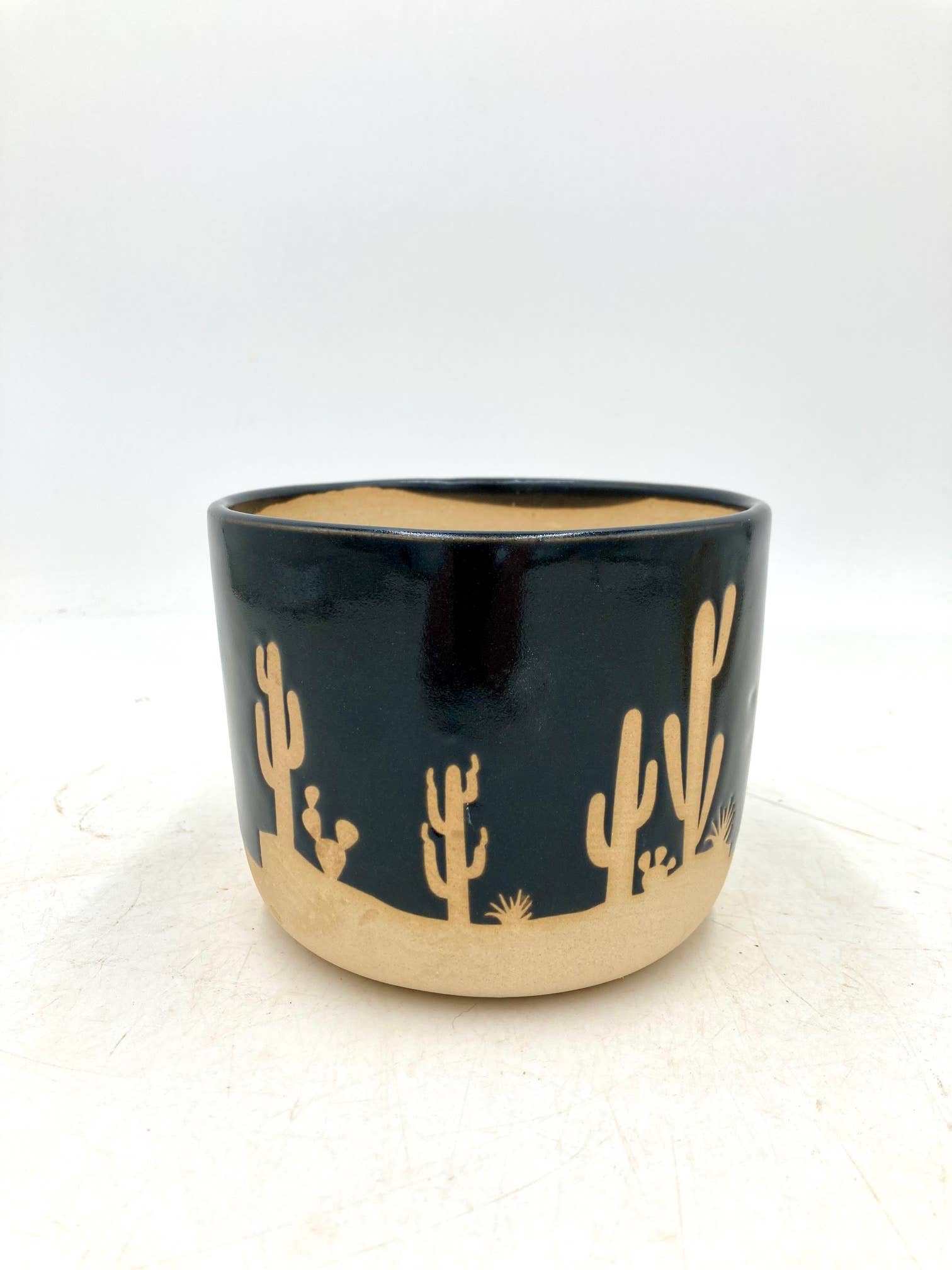 Small Cactus Clay Planter
