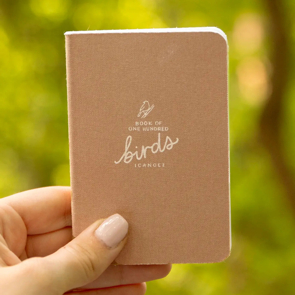 Hand holding a brown fabric covered journal titled Book of One Hundred Birds Journal
