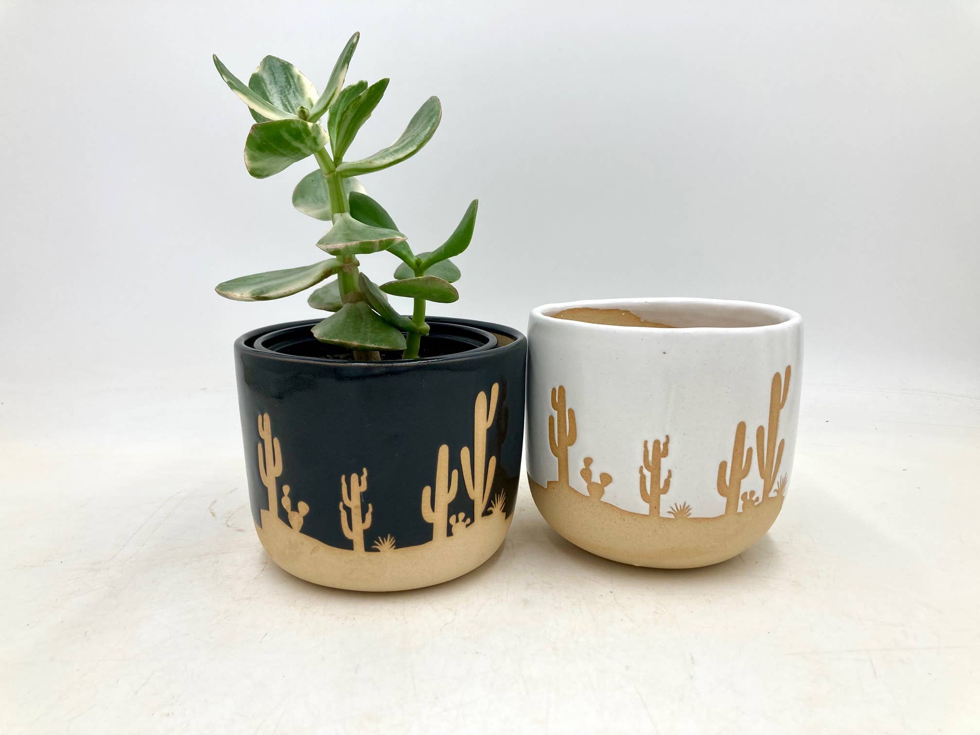 Small Cactus Clay Planter