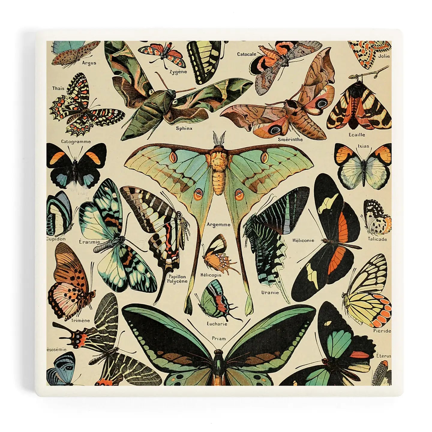 Butterflies Ceramic Coaster
