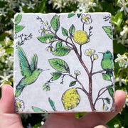 Lemon and Hummingbird Chinoiserie Painted Marble Coaster