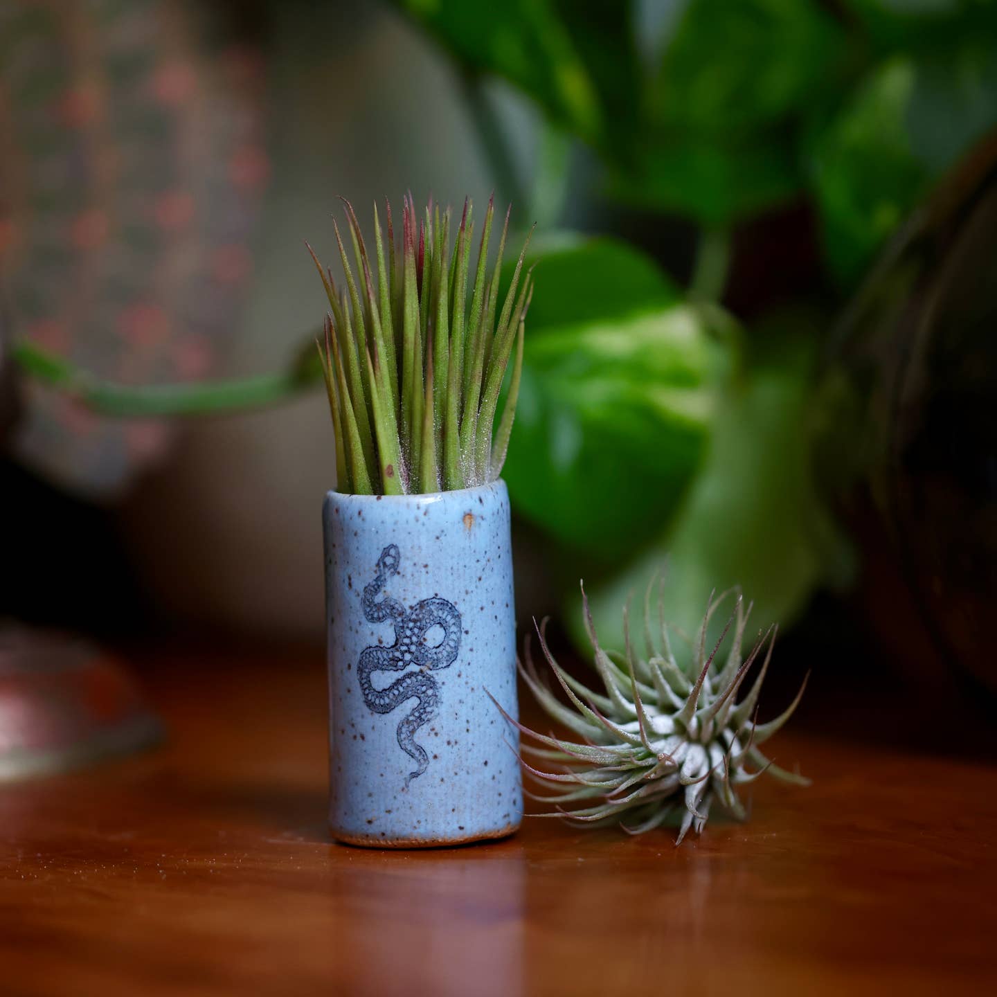 Tiny Tumbler - Snake