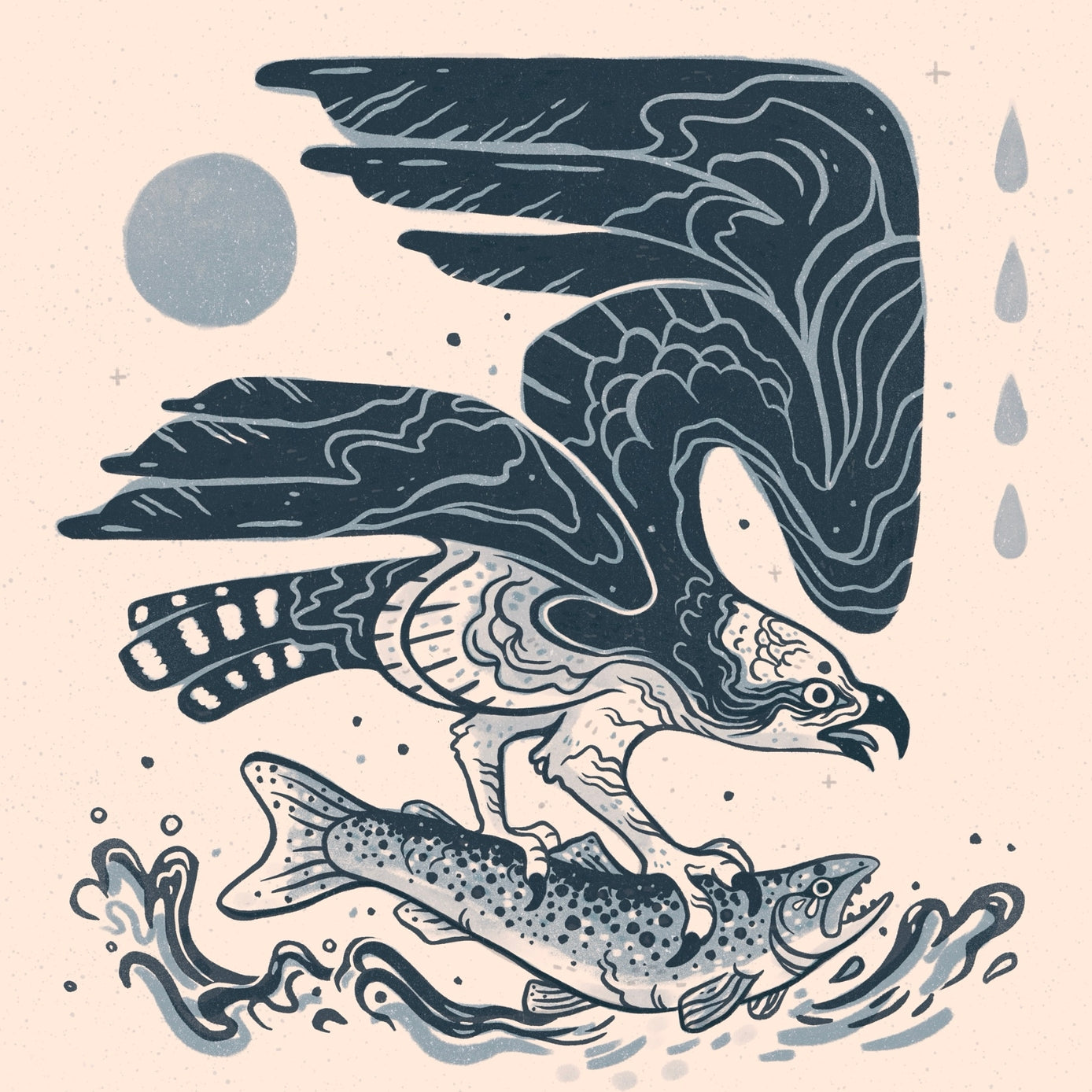 Fishing Osprey - 8x8 Nature Wilderness Art Print