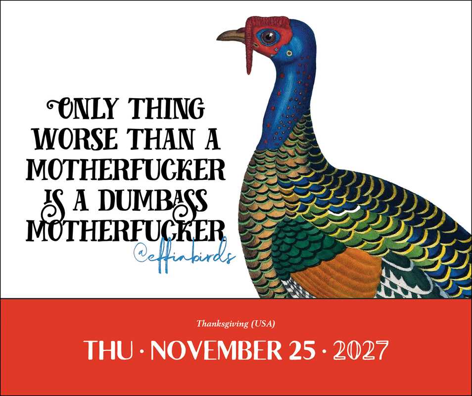 Effin' Birds 2027 Day-to-Day Calendar
