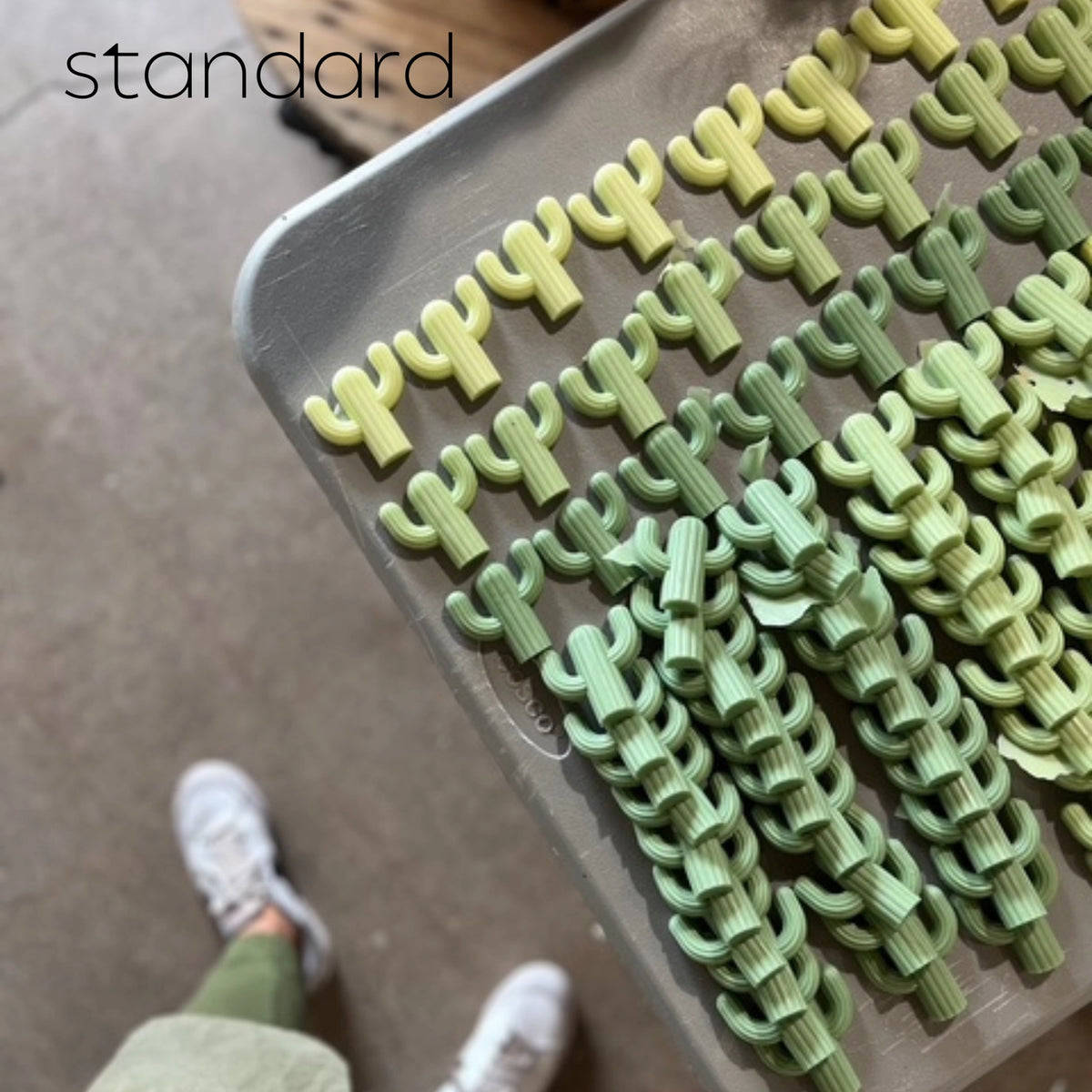 Mini Cactus Soap
