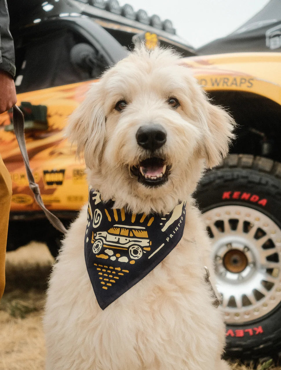 Adventure Seekers Bandana