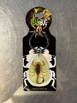 Golden Scorpion Tear Drop Keychain