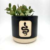 Medium Snake Clay Planter
