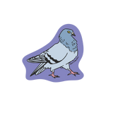 Pigeon Sticker