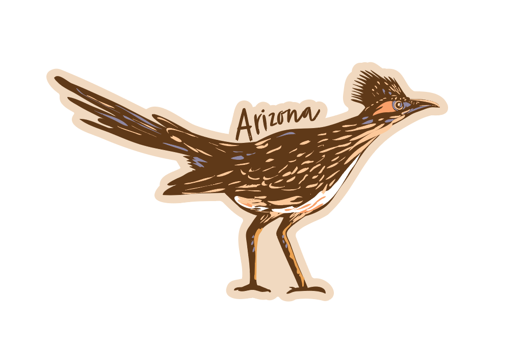Arizona Roadrunner Sticker