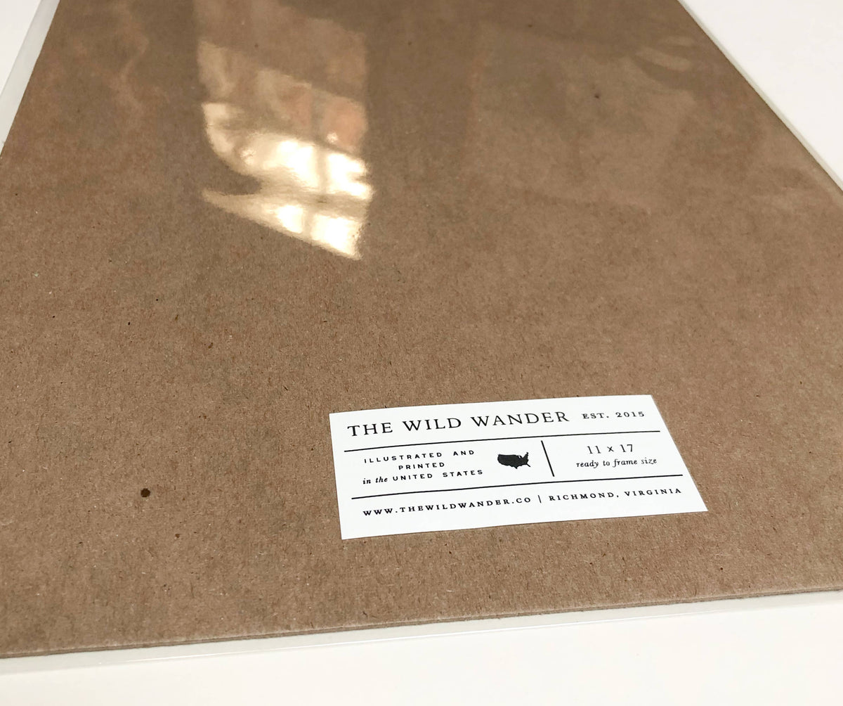 Yellowstone National Park Field Guide - 11 x 17