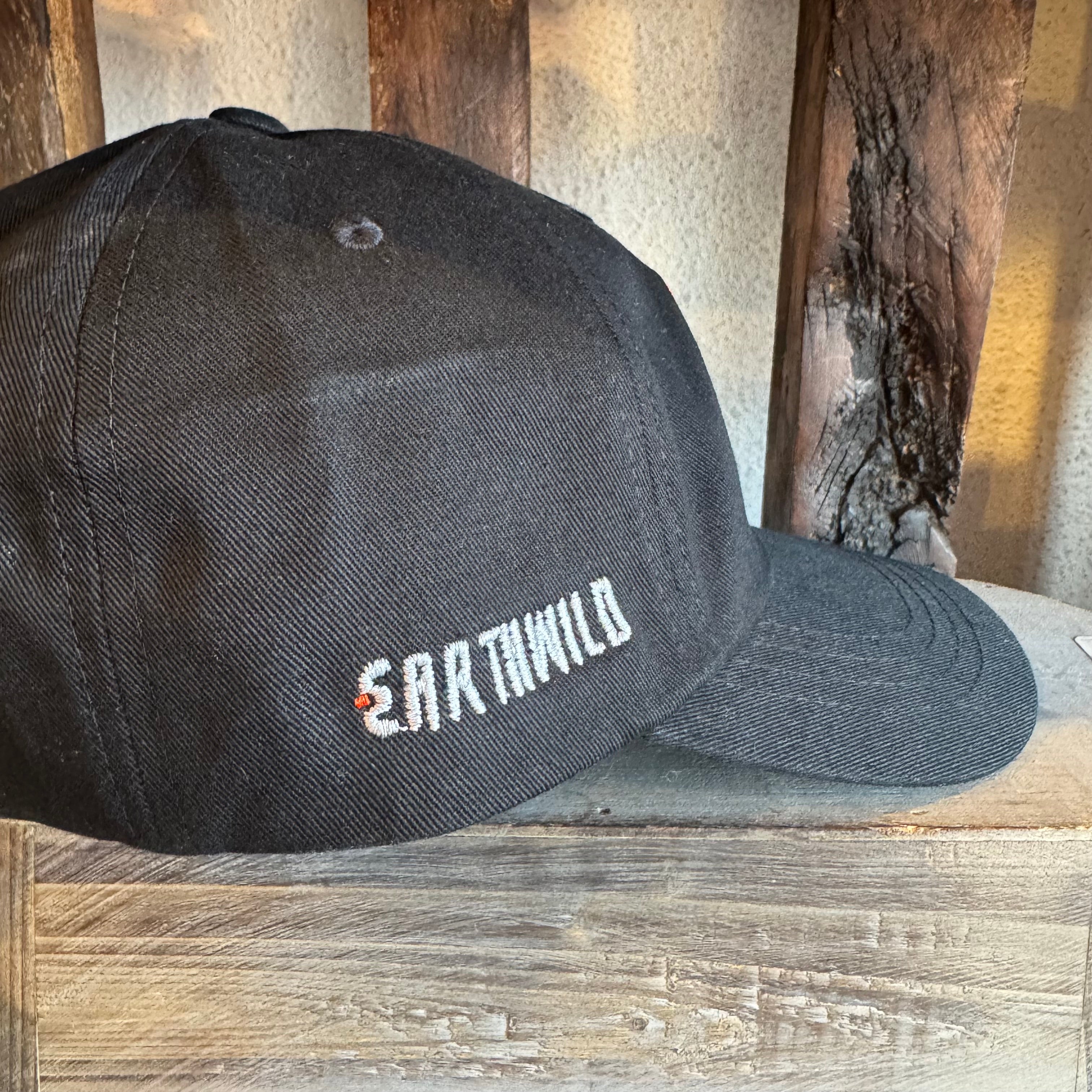 Earthwild Protect Our Public Lands Dad Hat