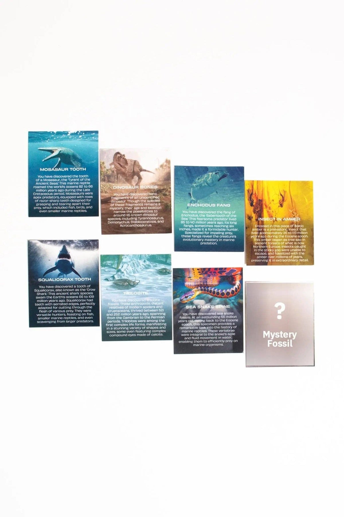 Group of fossil authenticity cards spread across the page with a large Mystery Fossil card bottom right.