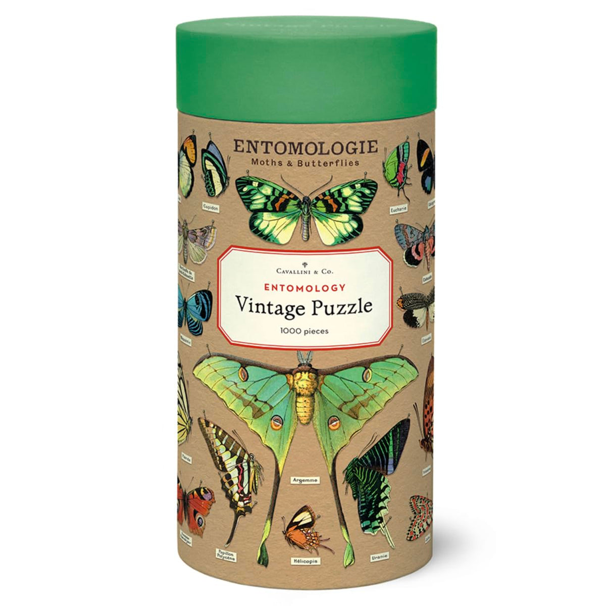 Entomology Vintage Puzzle