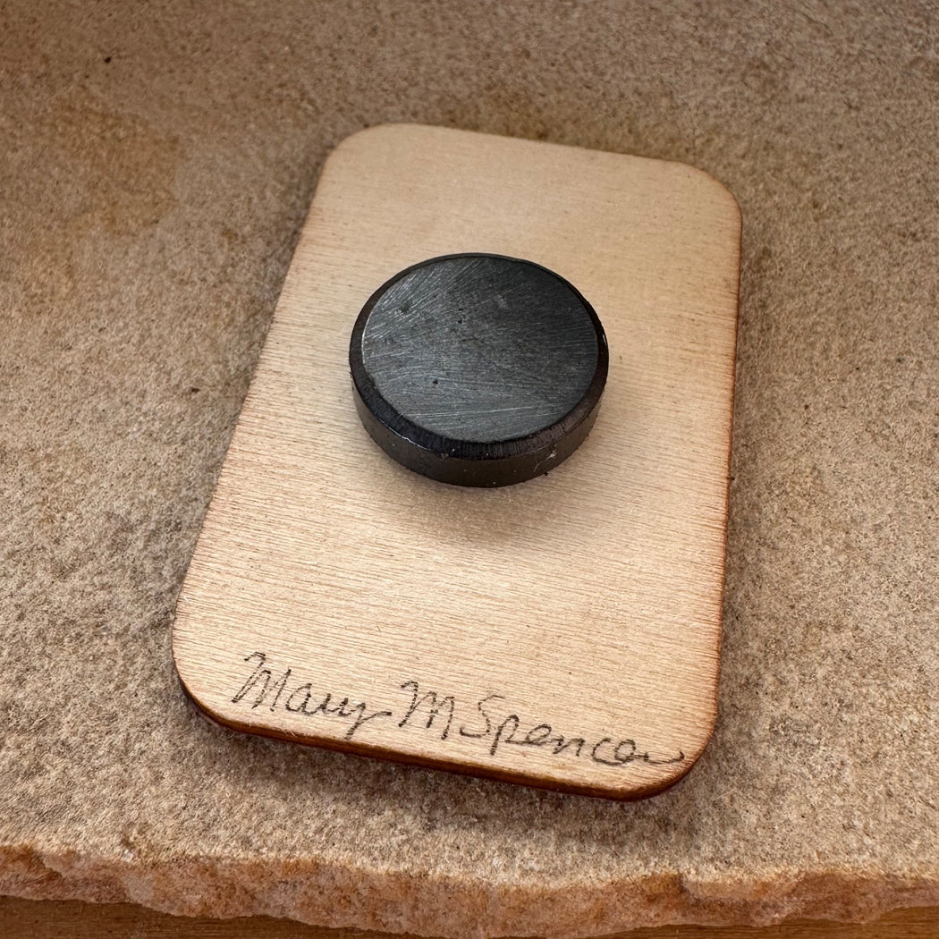 Hummingbird Desert Scene Wood Magnet