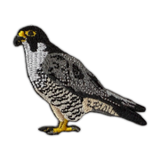 Peregrine Falcon Patch