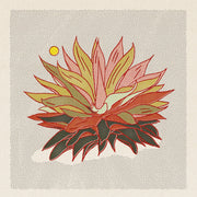 Rainbow Aloe Art Print