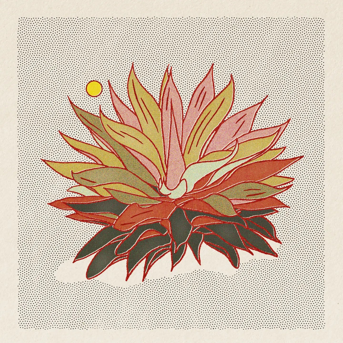 Rainbow Aloe - 12 x 12 Print