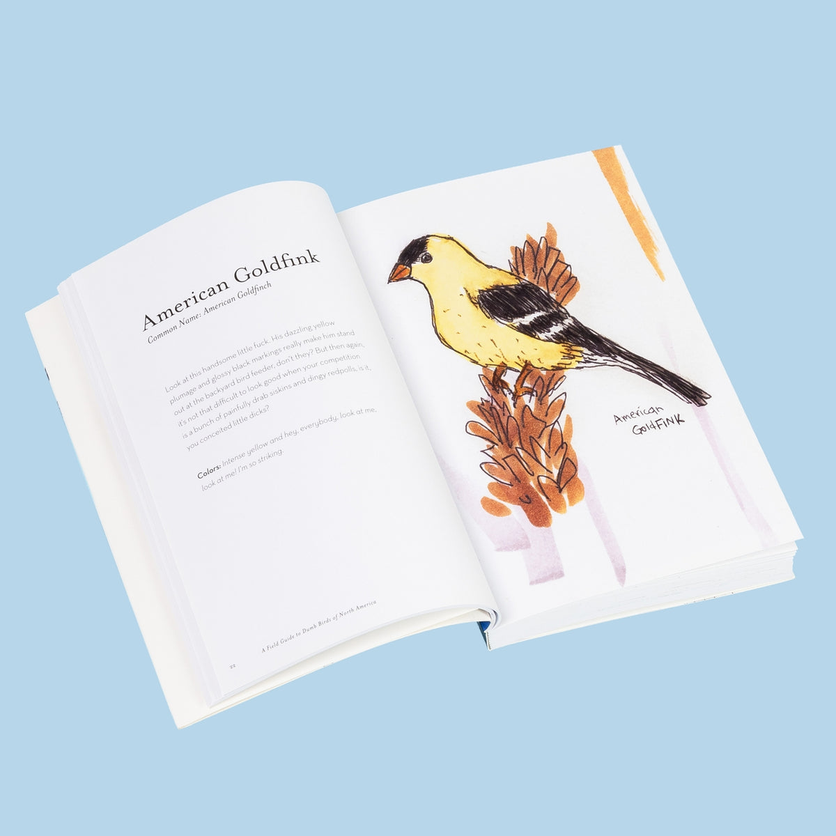 The Field Guide To Dumb Birds of America