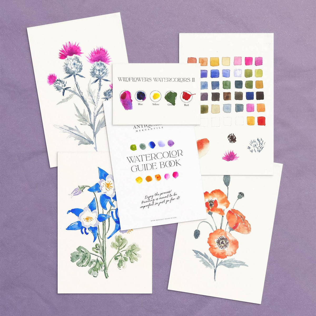 Watercolor Kit - Wildflowers No. 2