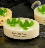 Saguaro Soap Bar