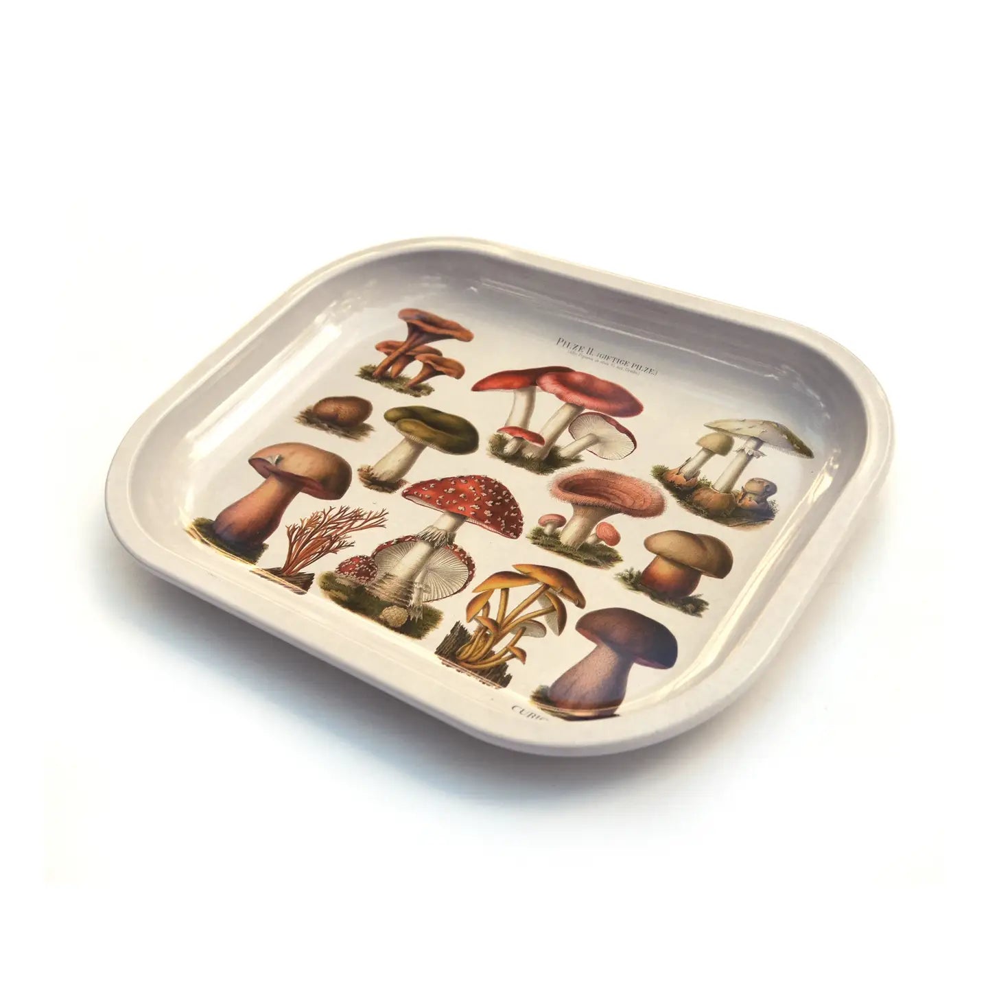 Vintage Mushroom Catchall Tray