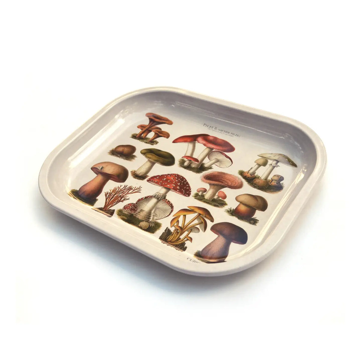 Vintage Mushroom Catchall Tray