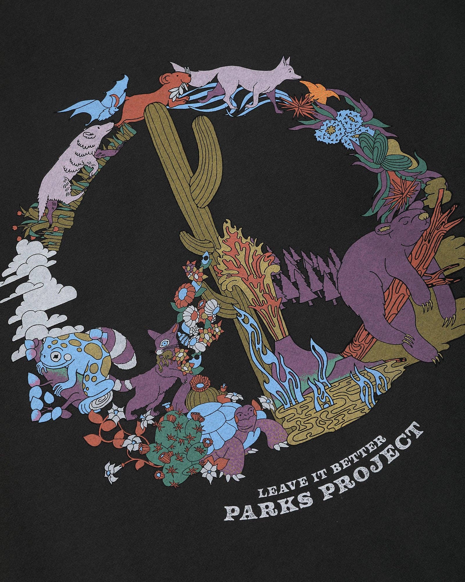 Life is Better National Parks Hoodie