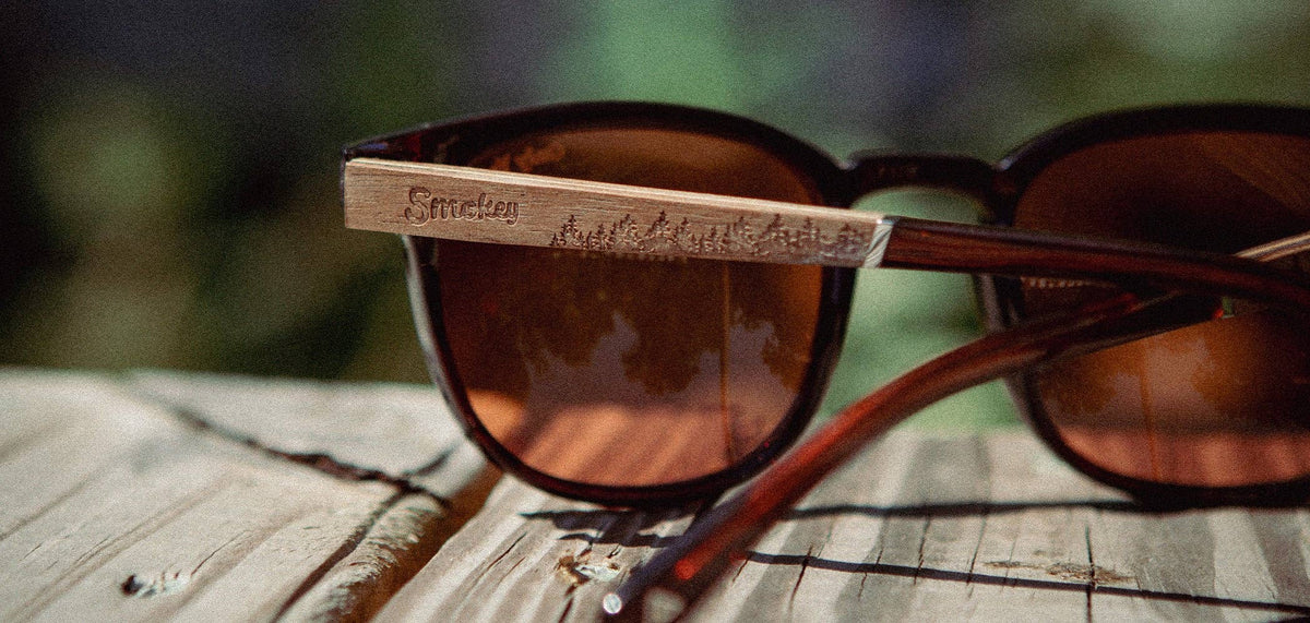 CAMP Topo Sunglasses - Clay Amber Smokey Bear