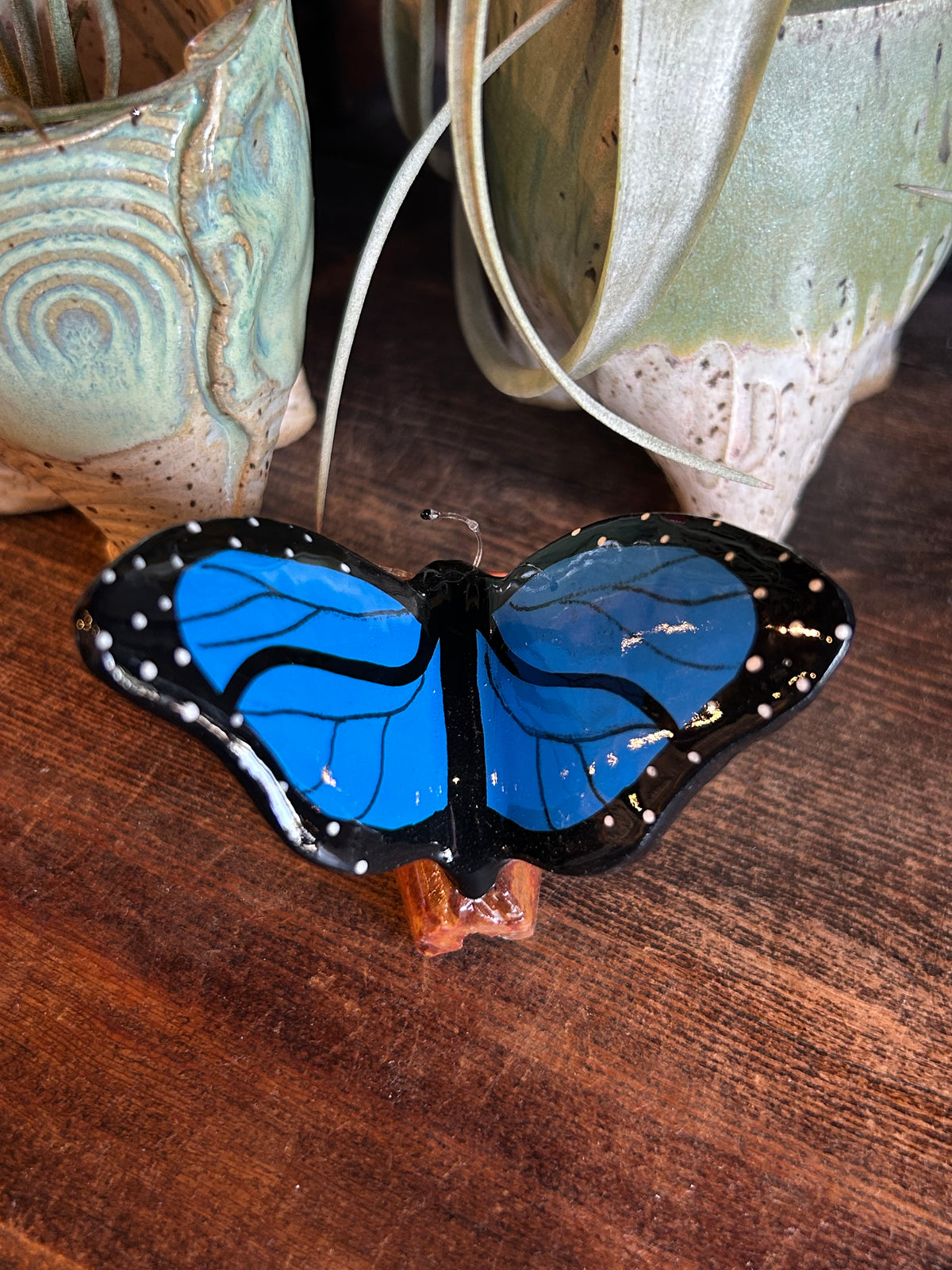 Monarch Butterfly 4