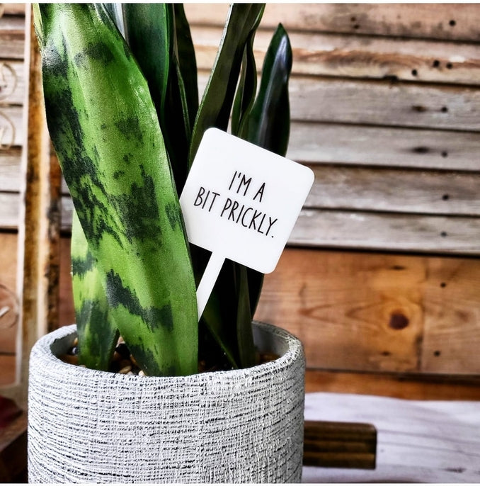 Snarky Plant Marker Stake