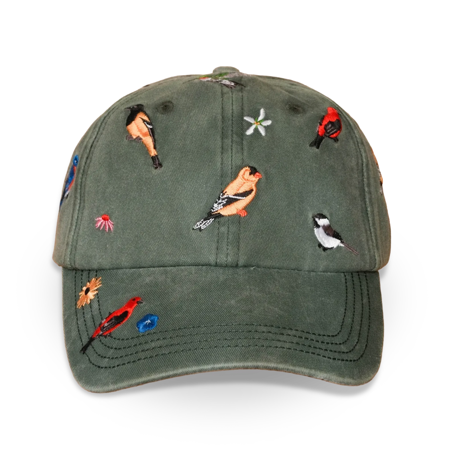 Backyard Birds Washed Hat