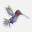 Hummingbird Jewel Vinyl Sticker