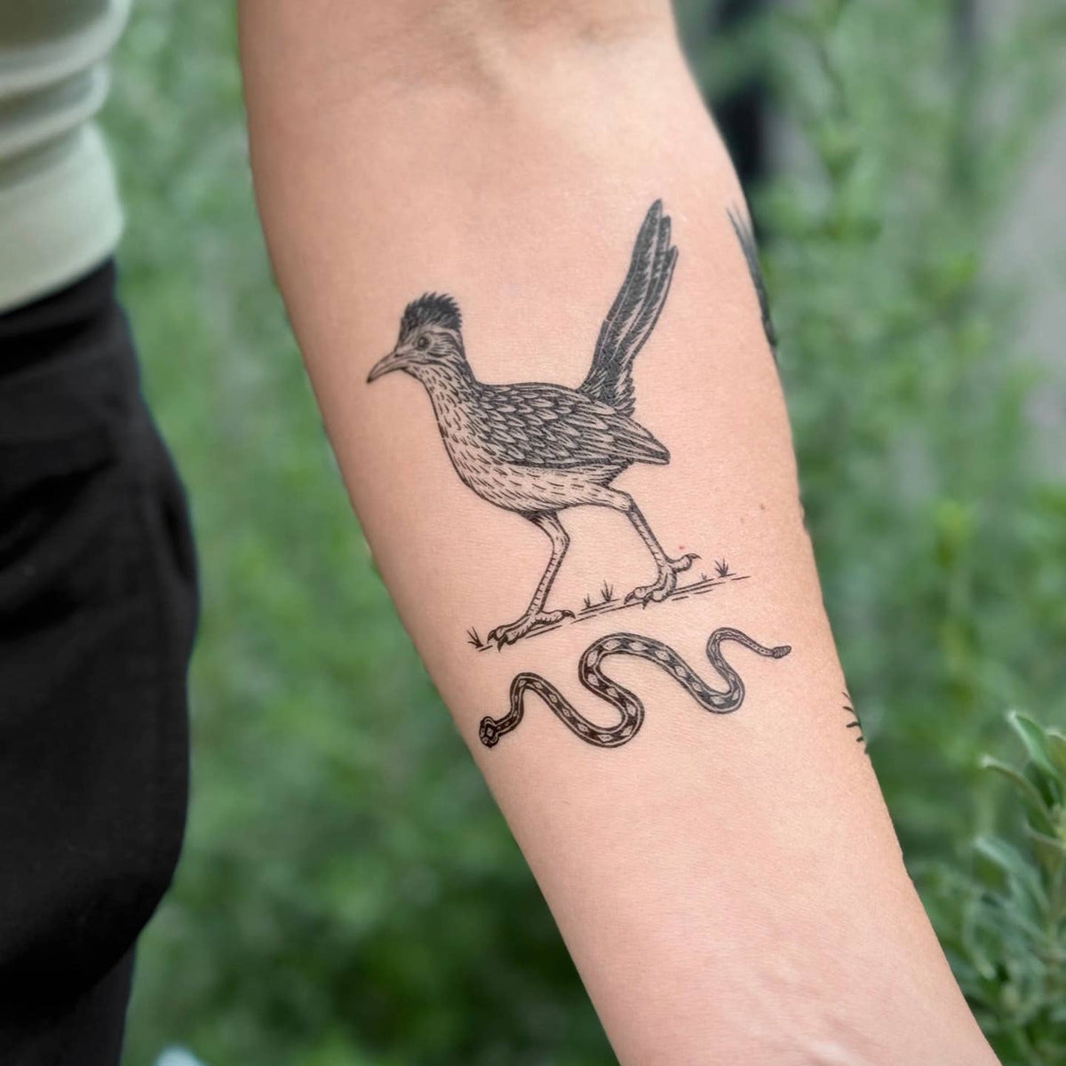Roadrunner and Snake Temporary Tattoo