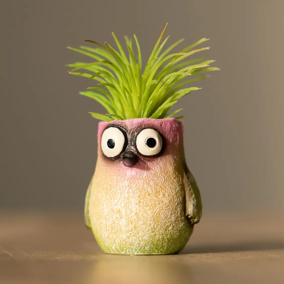 Mini Baby Hummingbird Planter