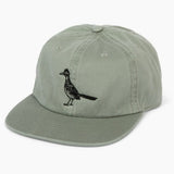 Road Runner Flat Brim - Sage