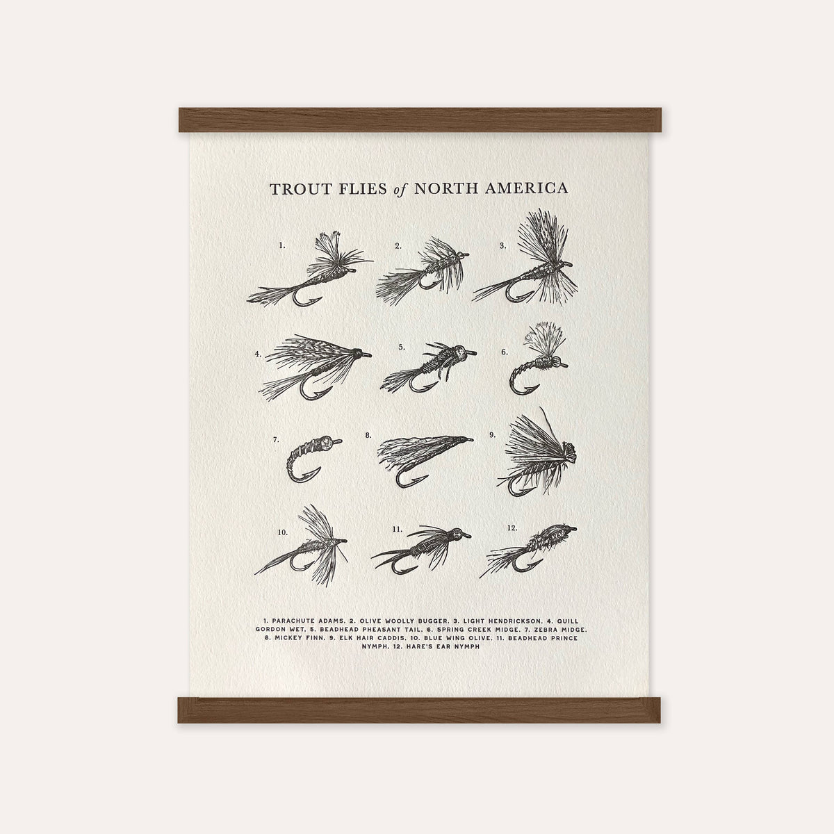 Guide to Trout Flies - 11 x 14
