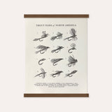 Poster from Guide to Trout Flies North America showing hand drawn flies numbered 1 to 12 under a wooden mount