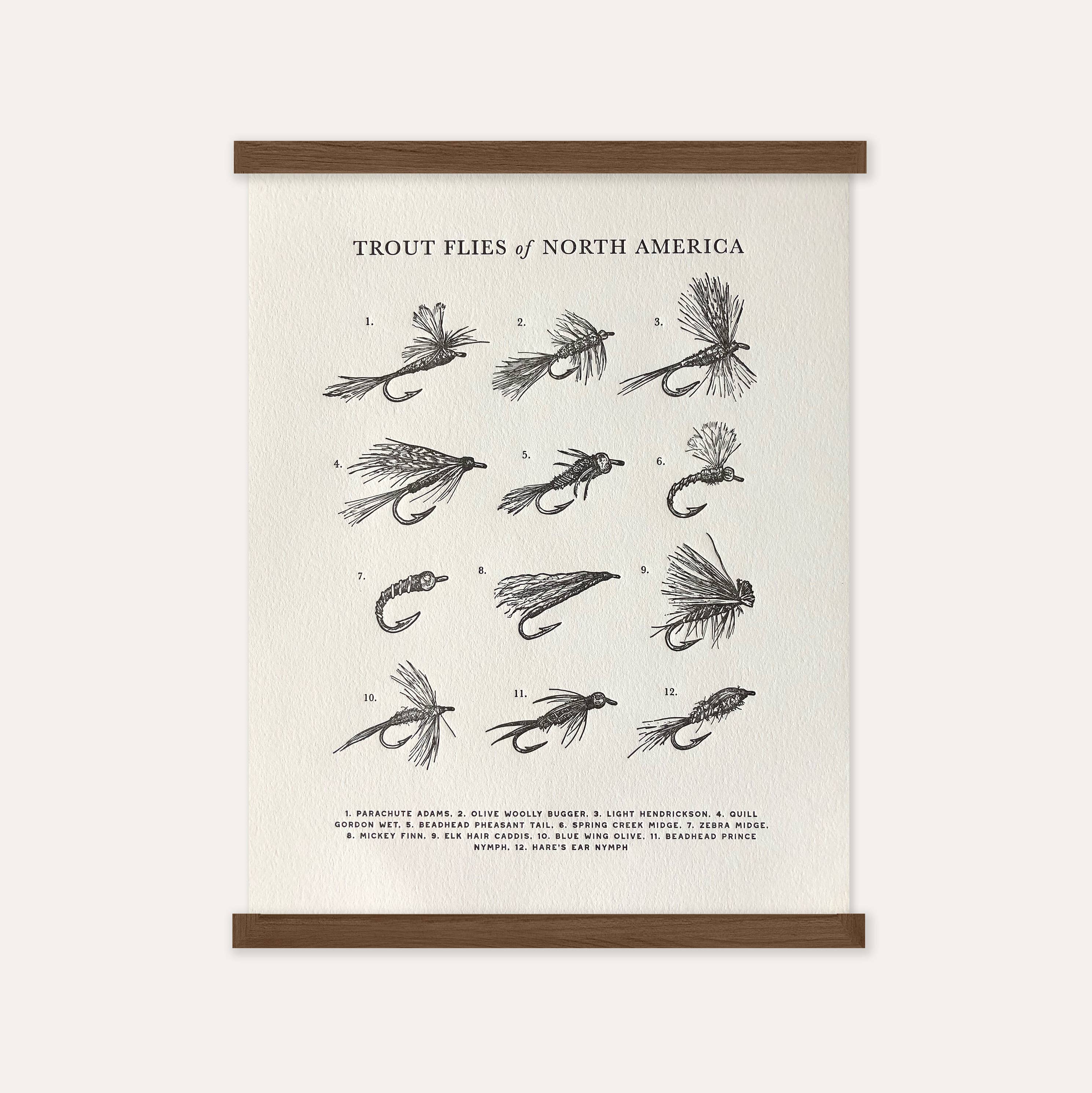 Guide to Trout Flies - 11 x 14