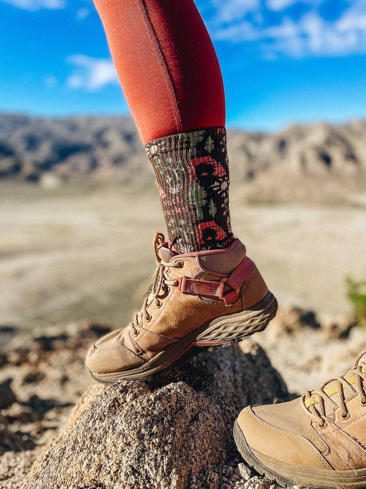 National Park Roundup Socks