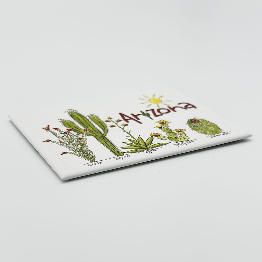 Arizona Native Plants Magnet angled view showing cacti and the word Arizona with a sun