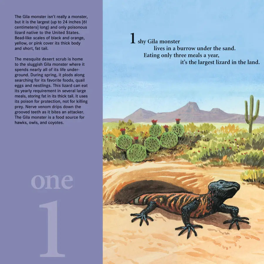 Desert Digits: An Arizona Number Book