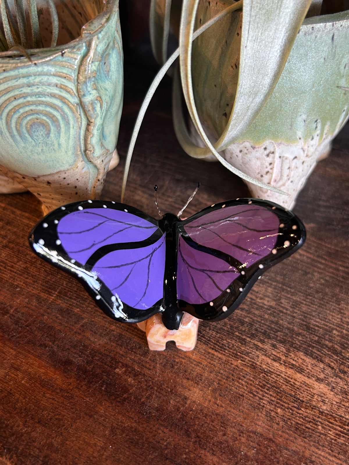 Monarch Butterfly 4