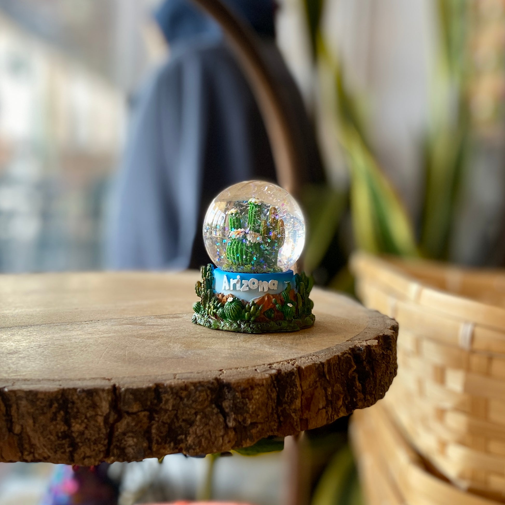 succulent snow globe Arizona Cactus Mini Glitter Globe – Earthwild.com / Blue Planet Outdoors