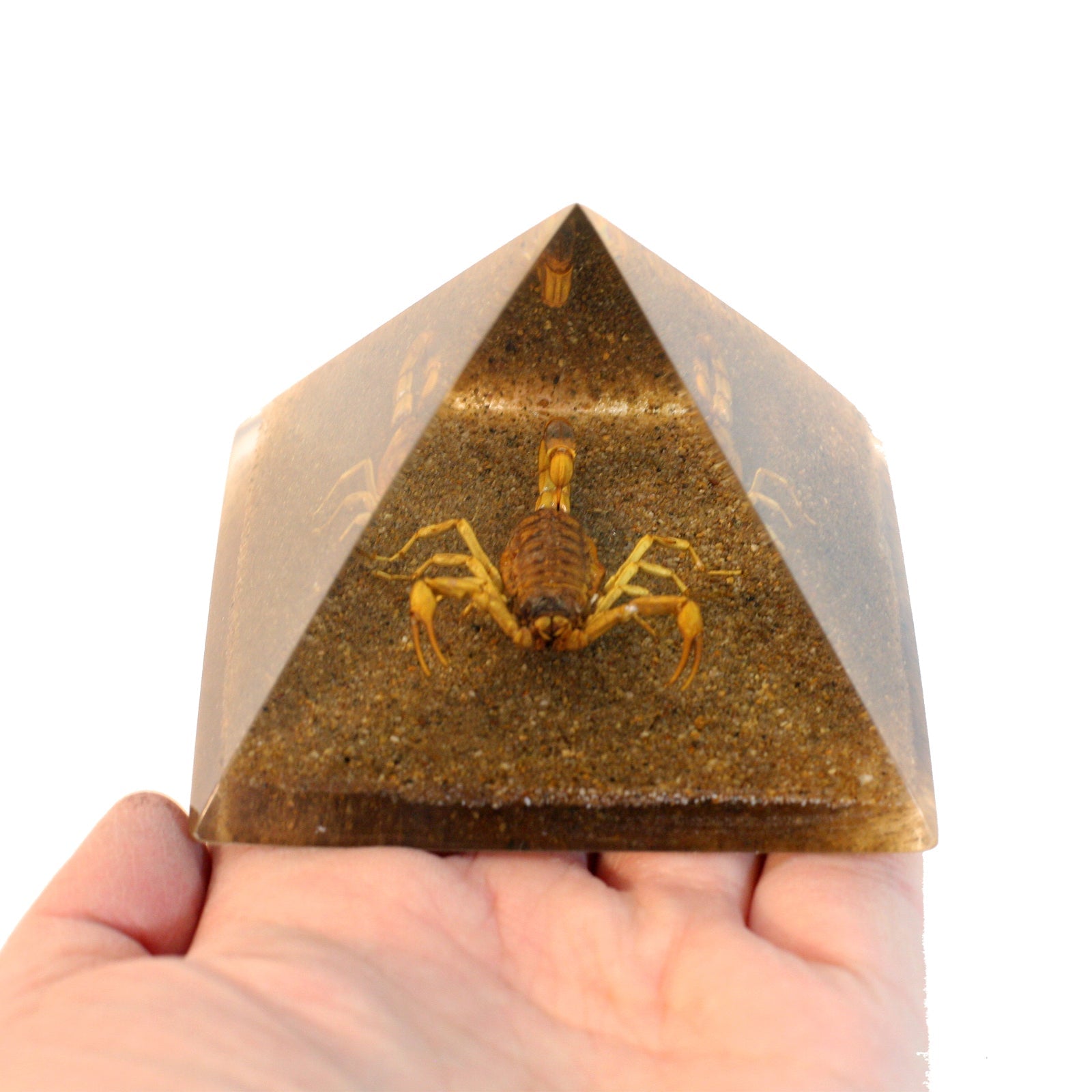 Real Gold Scorpion Pyramid With Sand Base
