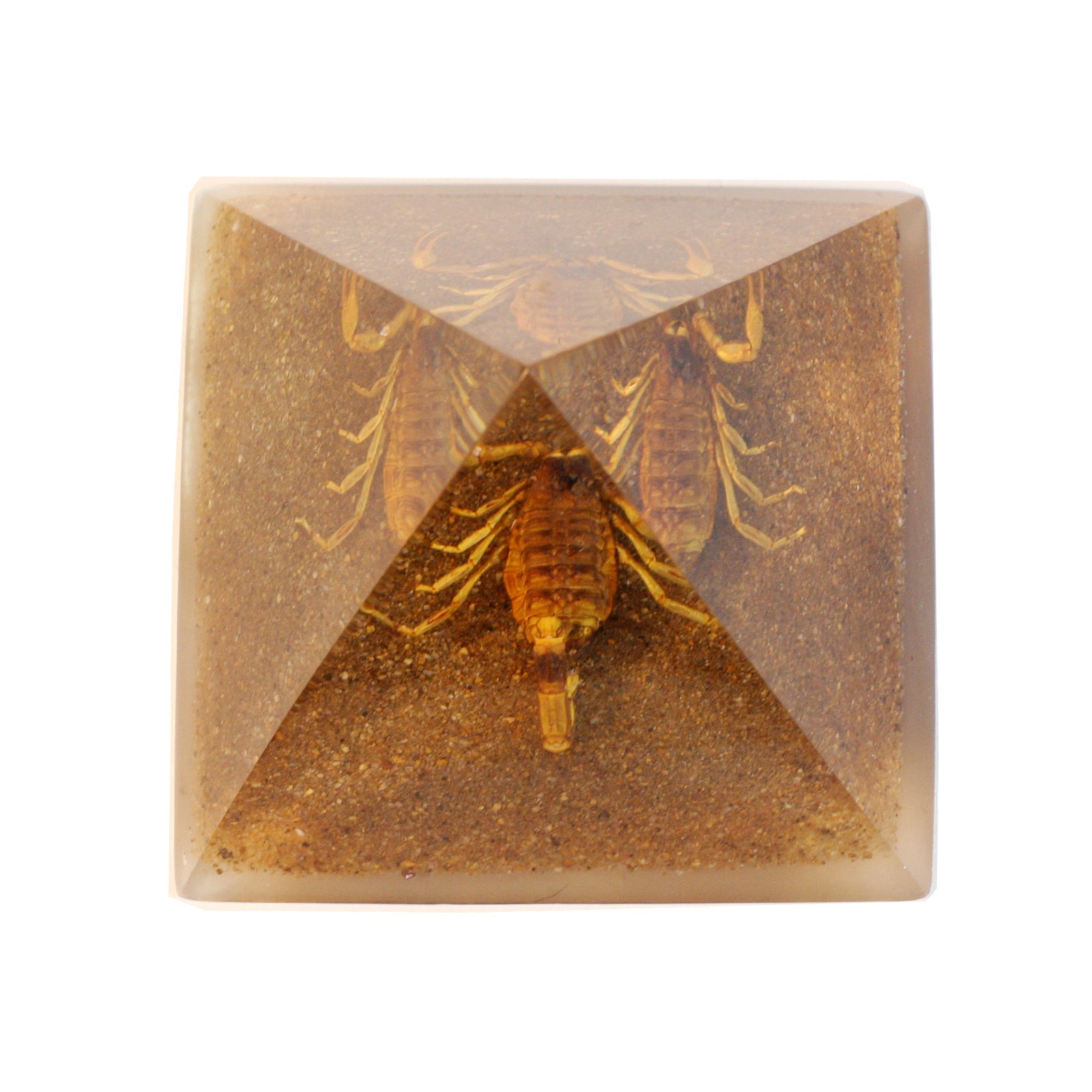 Real Gold Scorpion Pyramid With Sand Base