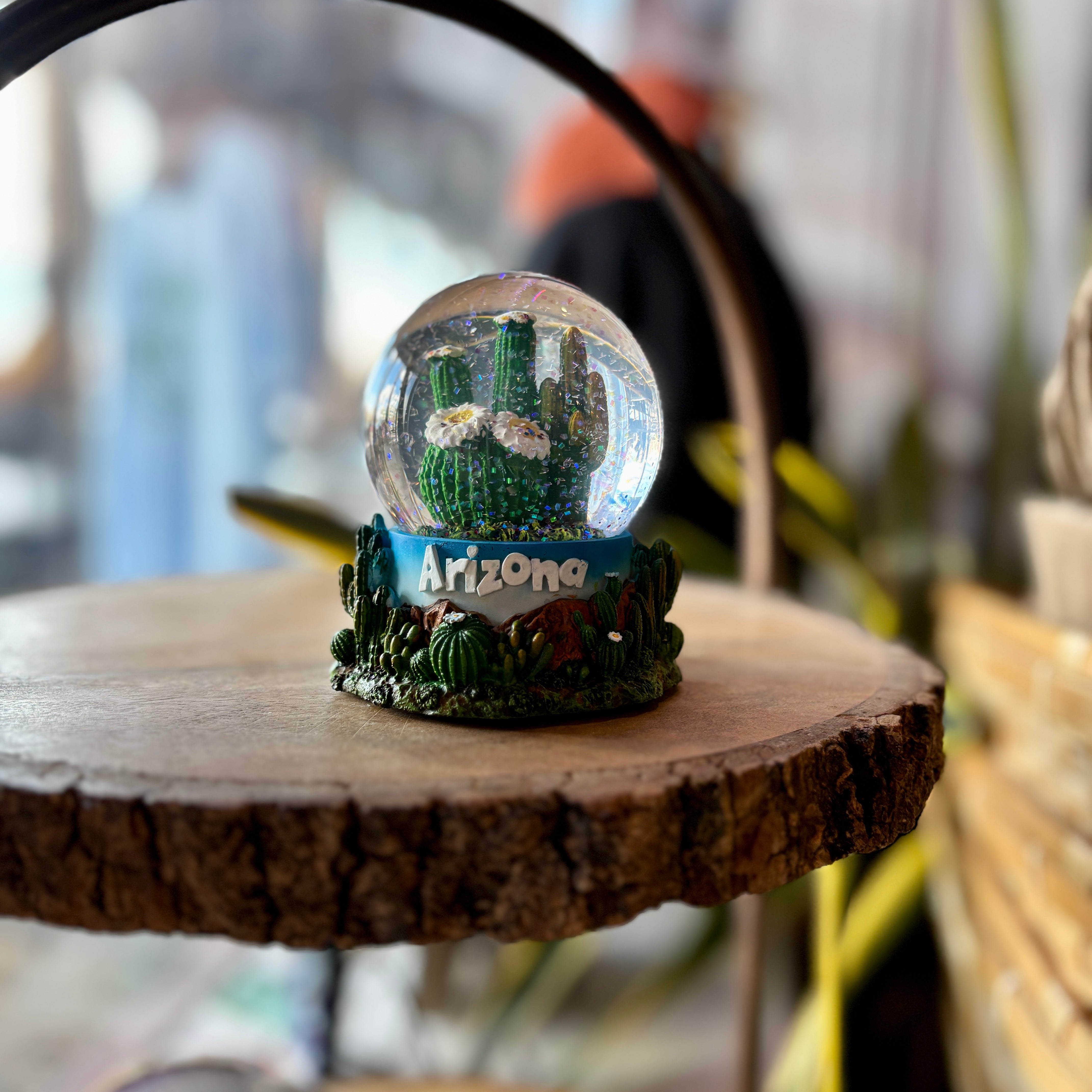 Arizona Cactus Glitter Globe - Large