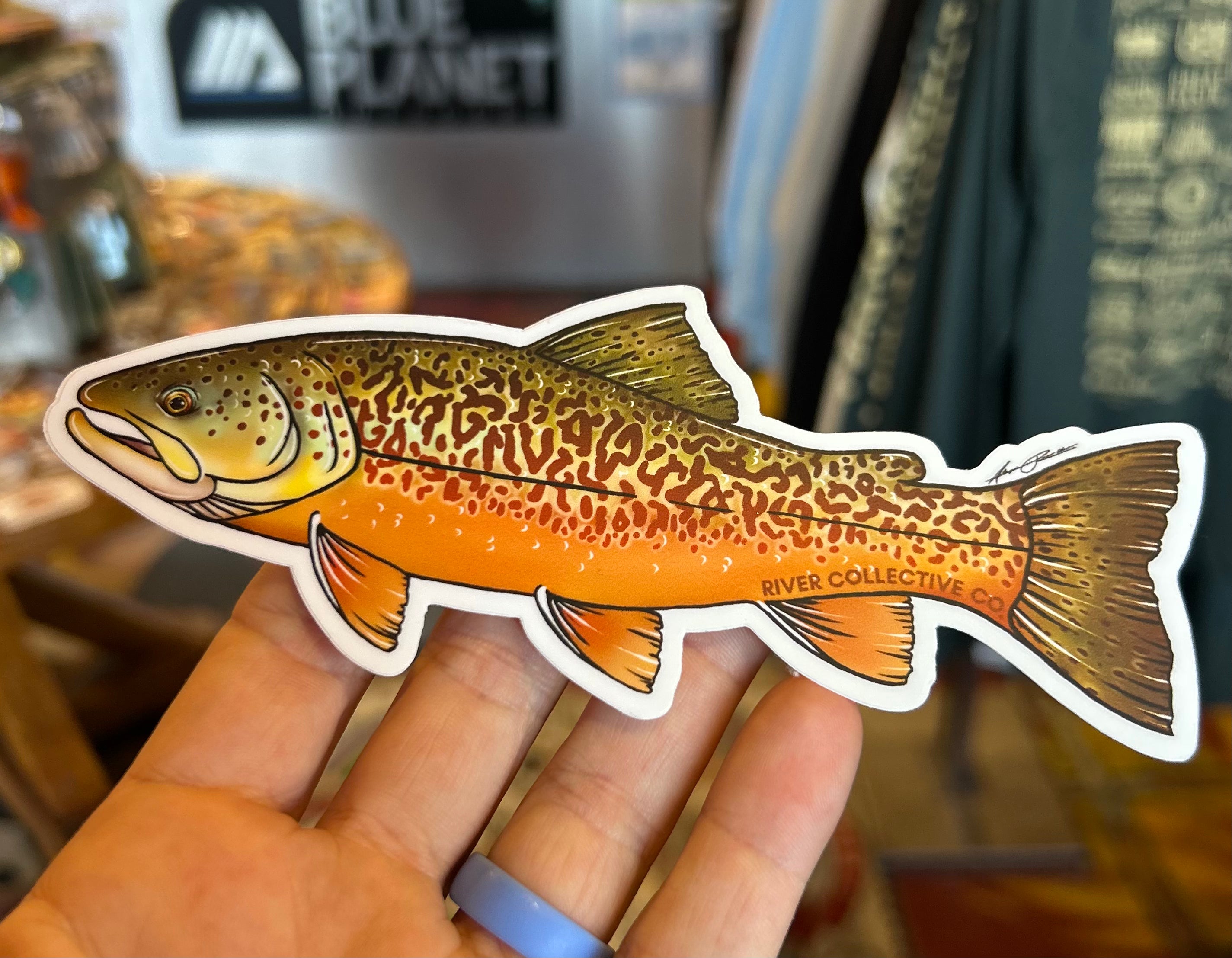 Tiger Trout Sticker