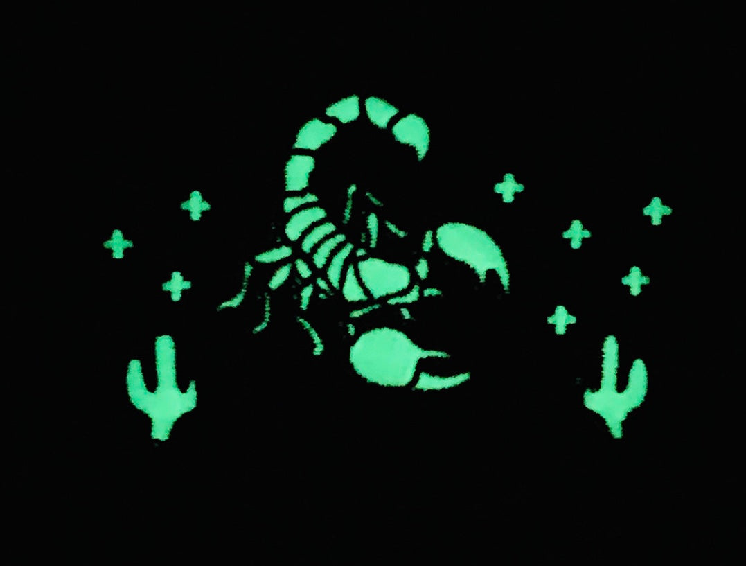 Under Every Stone Two Tone Hat