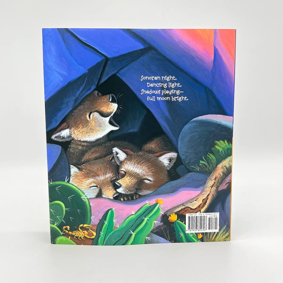 Desert Night Desert Day Book